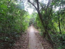 Thumbnail of pic_Sun_Chow_087.JPG