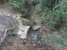 Thumbnail of pic_Sun_Chow_092.JPG