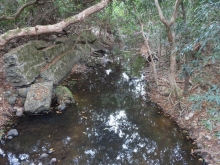 Thumbnail of pic_Sun_Chow_093.JPG