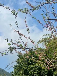 Thumbnail of pic_Winnie_Chung_004.JPG