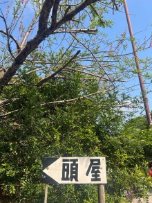 Thumbnail of pic_Winnie_Chung_009.JPG