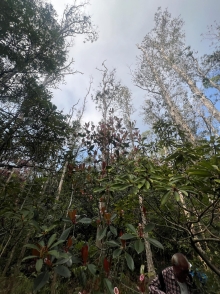 Thumbnail of pic_Winnie_Chung_025.JPG