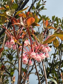 Thumbnail of pic_Winnie_Chung_039.JPG