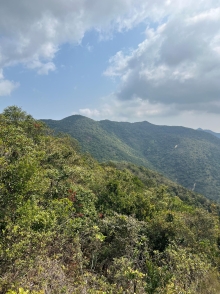 Thumbnail of pic_Winnie_Chung_043.JPG