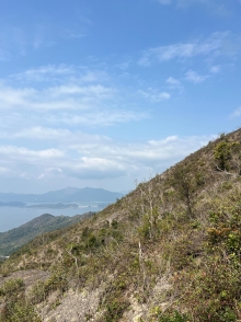 Thumbnail of pic_Winnie_Chung_049.JPG