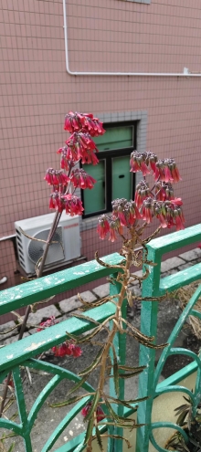 Thumbnail of pic_Derek_Wong_053.jpg