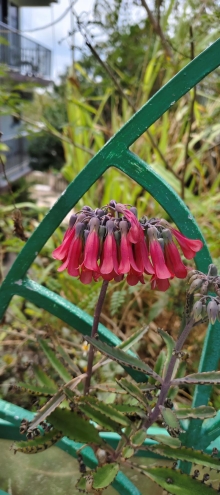 Thumbnail of pic_Derek_Wong_055.jpg