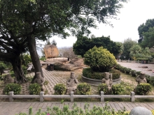 Thumbnail of 20260304_076.JPG