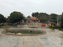 Thumbnail of 20260304_095.JPG