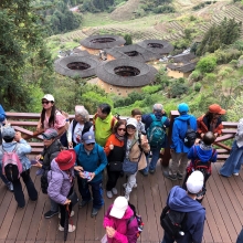 Thumbnail of 20260305_032.JPG