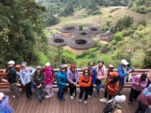 Thumbnail of 20260305_046.JPG