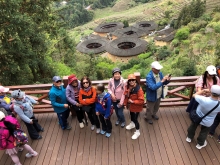 Thumbnail of 20260305_047.JPG