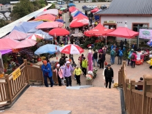 Thumbnail of 20260306_010.JPG