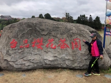 Thumbnail of 20260306_024.JPG