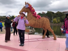 Thumbnail of 20260306_039.JPG