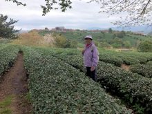 Thumbnail of 20260306_042.JPG