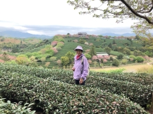 Thumbnail of 20260306_044.JPG