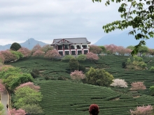 Thumbnail of 20260306_046.JPG