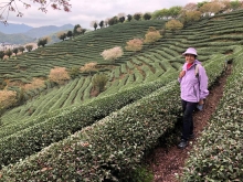 Thumbnail of 20260306_050.JPG