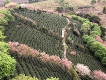 Thumbnail of 20260306_060.JPG