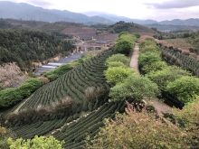 Thumbnail of 20260306_062.JPG