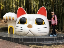 Thumbnail of 20260307_049.JPG