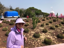 Thumbnail of 20260307_073.JPG