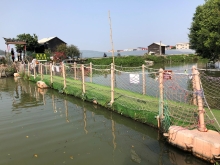 Thumbnail of 20260307_084.JPG