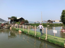 Thumbnail of 20260307_085.JPG