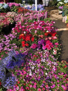 Thumbnail of 20260308_001.JPG