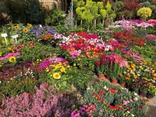 Thumbnail of 20260308_003.JPG