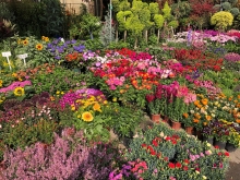 Thumbnail of 20260308_004.JPG