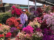 Thumbnail of 20260308_006.JPG