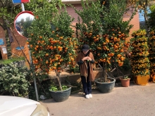 Thumbnail of 20260308_012.JPG