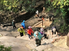 Thumbnail of 20260308_035.JPG