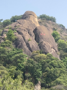 Thumbnail of 20260308_045.JPG