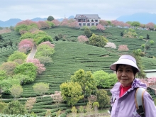 Thumbnail of pic_Teresa_Tse_106.jpg