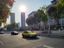 Thumbnail of pic_Teresa_Tse_173.jpg