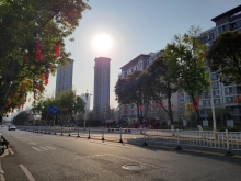 Thumbnail of pic_Teresa_Tse_174.jpg