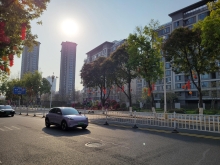 Thumbnail of pic_Teresa_Tse_175.jpg