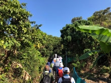 Thumbnail of P3150003.JPG