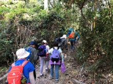 Thumbnail of P3150004.JPG