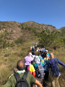 Thumbnail of P3150011.JPG