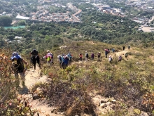 Thumbnail of P3150020.JPG