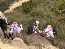 Thumbnail of P3150043.JPG