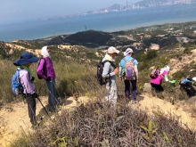 Thumbnail of P3150044.JPG