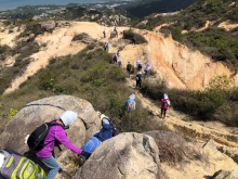 Thumbnail of P3150045.JPG