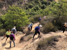 Thumbnail of P3150051.JPG