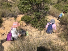 Thumbnail of P3150053.JPG