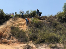 Thumbnail of P3150054.JPG